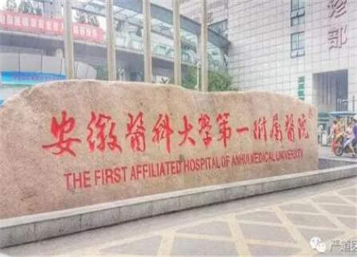 安徽醫(yī)科大學(xué)第一附屬醫(yī)院.jpg