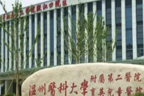 溫州醫(yī)科大學(xué)附屬第二醫(yī)院去眼袋怎么樣?徐海艇|李曉陽醫(yī)生技術(shù)風(fēng)格