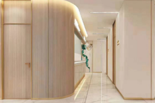 廣州市佳人醫(yī)療美容吸脂怎么樣?董東善|李宗磊醫(yī)生水準測評