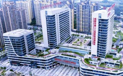 成都市第二人民醫(yī)院產后妊娠紋修復技術評測怎么樣?案例細節(jié)