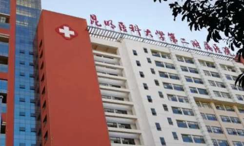 昆明附二院植發(fā)怎么樣？植發(fā)技術(shù)精湛，能夠提供優(yōu)質(zhì)的植發(fā)服務(wù)