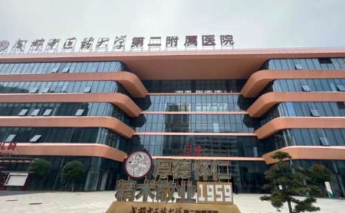 成醫(yī)附二院玻尿酸填充下巴技術(shù)水平怎么樣?求美案例