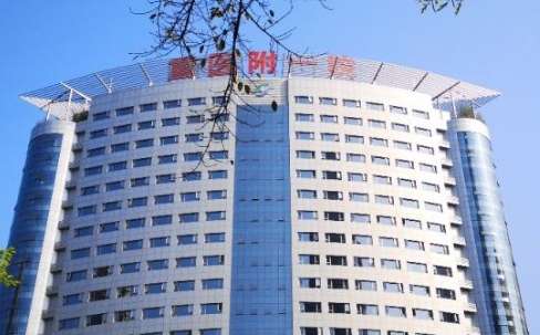 重慶肋軟骨隆鼻正規(guī)醫(yī)院盤點(diǎn)重醫(yī)大附一院、永川醫(yī)院、新橋醫(yī)院