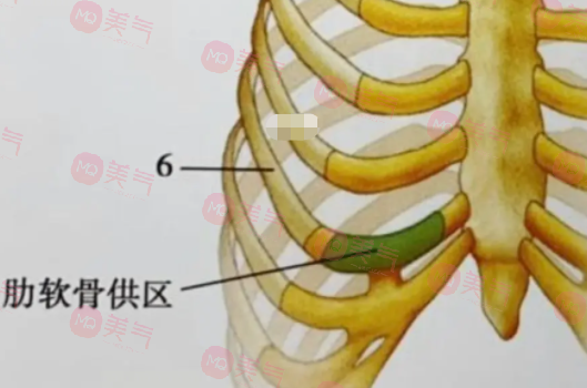 自體肋骨隆鼻的危害有哪些？手術(shù)風(fēng)險(xiǎn)、疼痛和腫脹…
