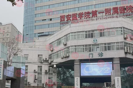 西安植發(fā)效果比較好的醫(yī)院，唐都醫(yī)院/市中醫(yī)醫(yī)院好評多