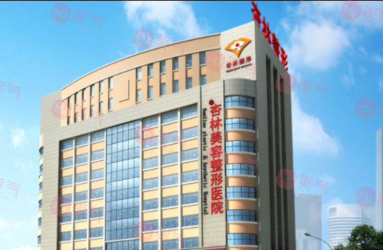 沈陽杏林整形外科醫(yī)院