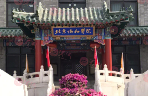 北京隆胸正規(guī)醫(yī)院排名，熱度飆升TOP榜網(wǎng)友認(rèn)可度在線看！