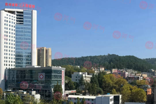 貴州省第二人民醫(yī)院整形外科