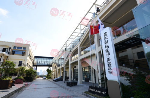上海首爾麗格醫(yī)療美容醫(yī)院
