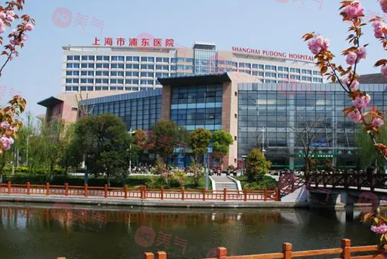 復(fù)旦大學(xué)附屬浦東醫(yī)院口腔科