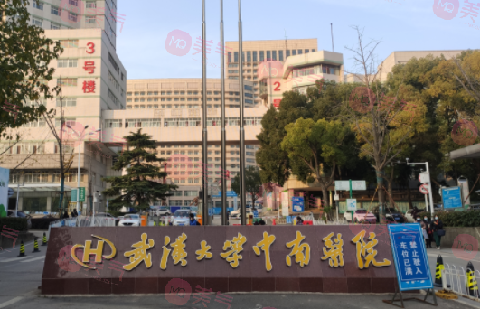武漢三甲醫(yī)院整形外科哪家好？醫(yī)院介紹/收費(fèi)標(biāo)準(zhǔn)，來(lái)瞧瞧吧