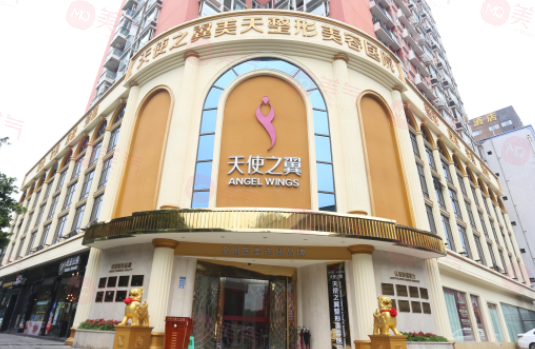 成都武侯天使之翼總院